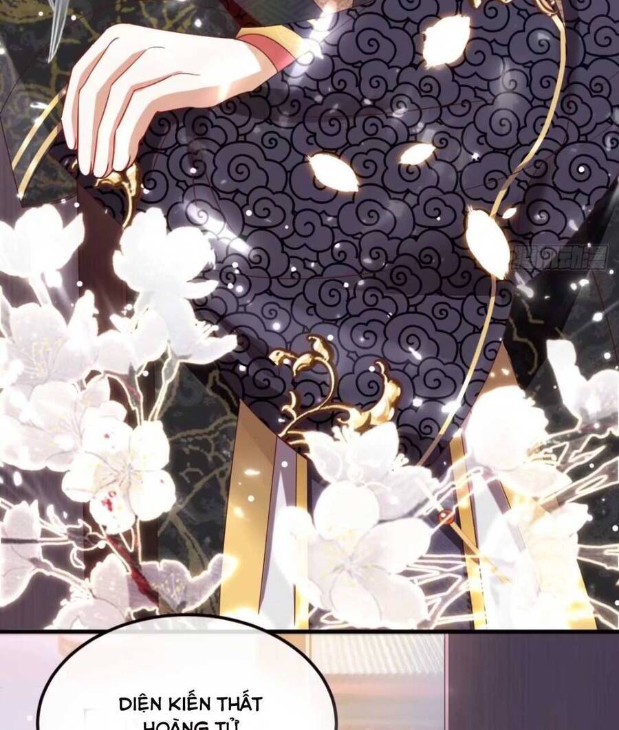 Đại Đích Nữ Trọng Sinh Về Báo Thù Chapter 4 - 47