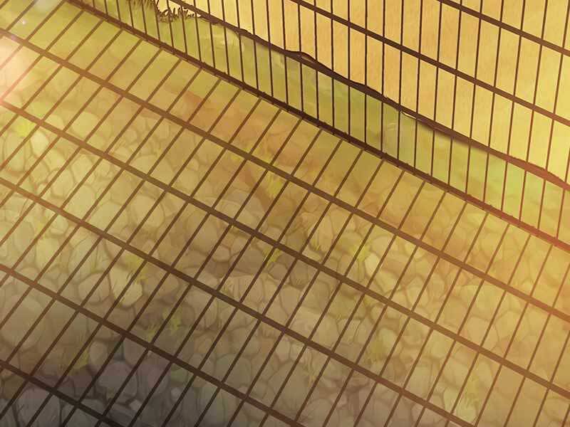 Tôi Có Đặc Tính Của Cấp Sss Nhưng Thích Sống Bình Thường Chapter 19 - 218