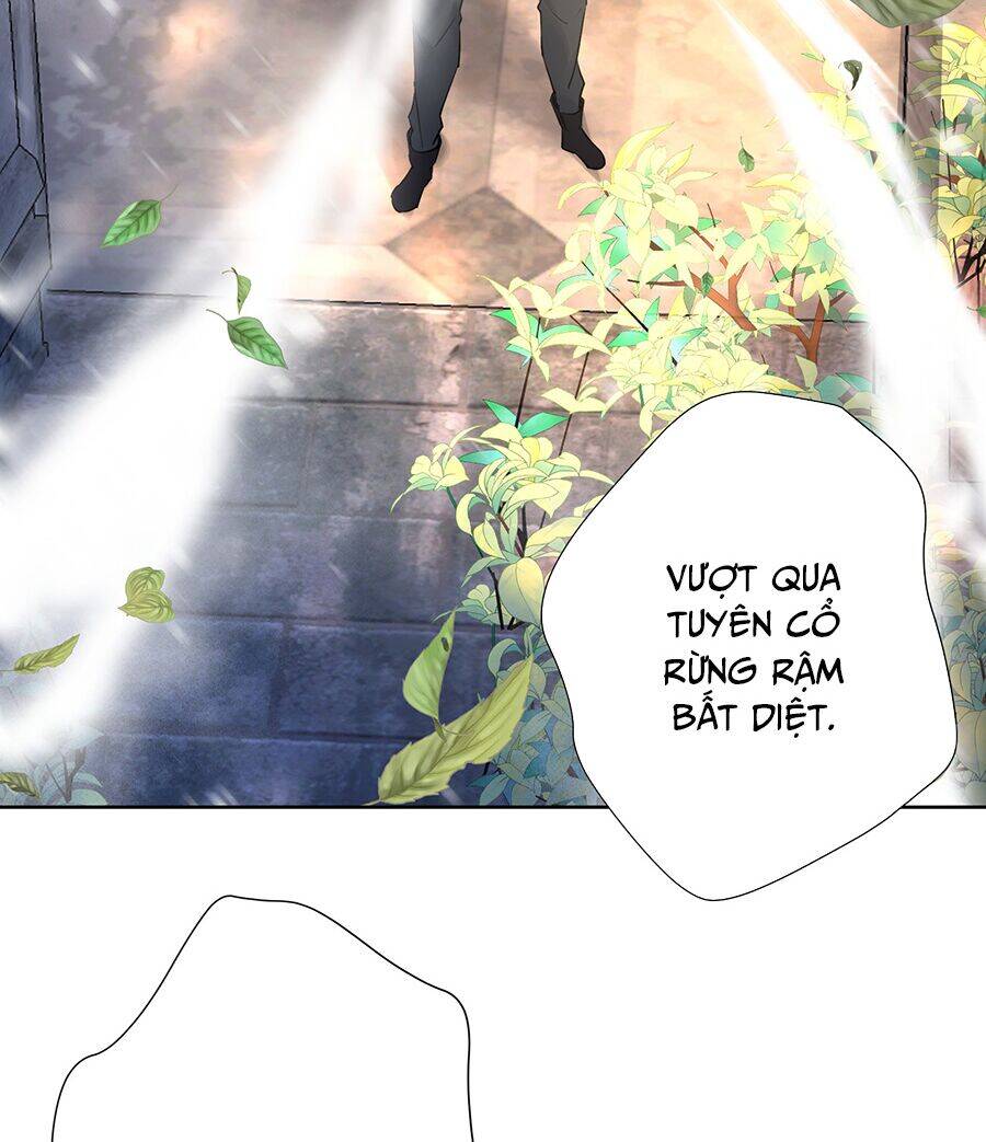 Bản Giáo Chủ Thân Bất Do Kỷ Chapter 11 - 42