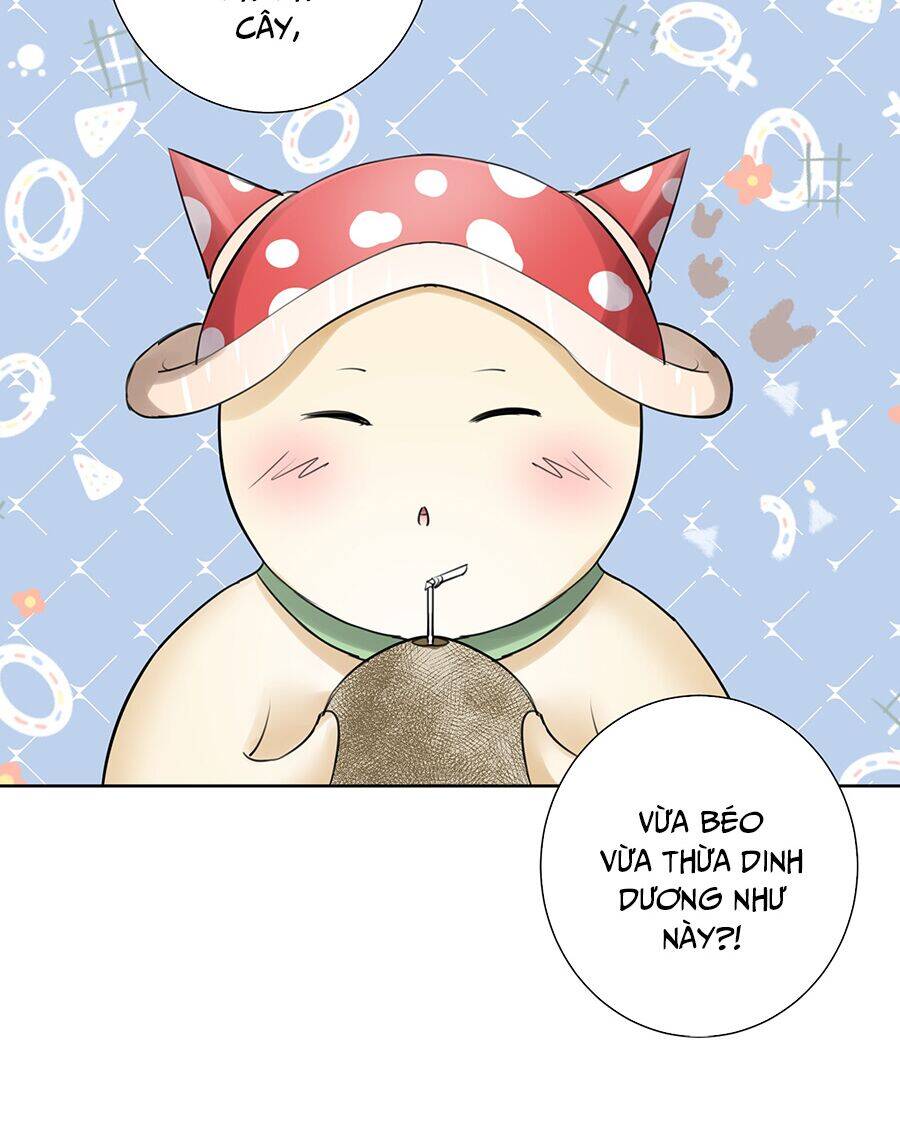 Bản Giáo Chủ Thân Bất Do Kỷ Chapter 27 - 20