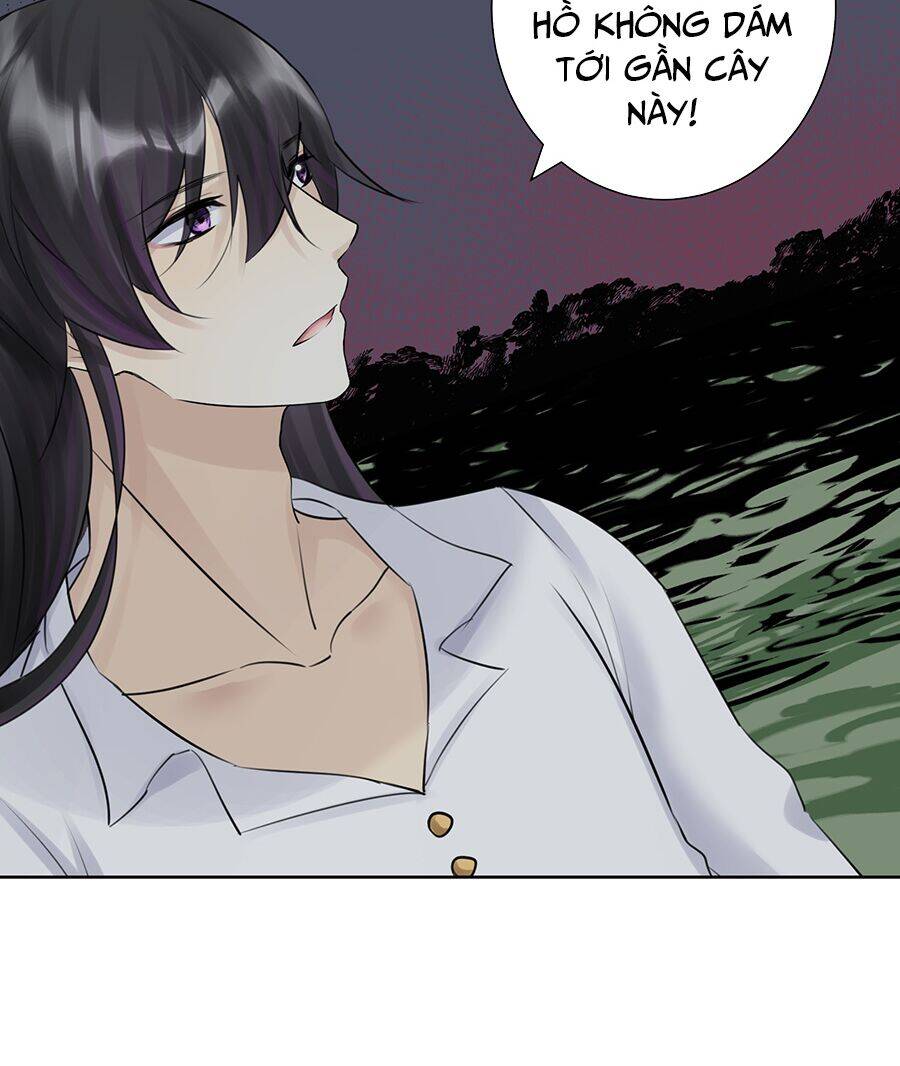 Bản Giáo Chủ Thân Bất Do Kỷ Chapter 32 - 66