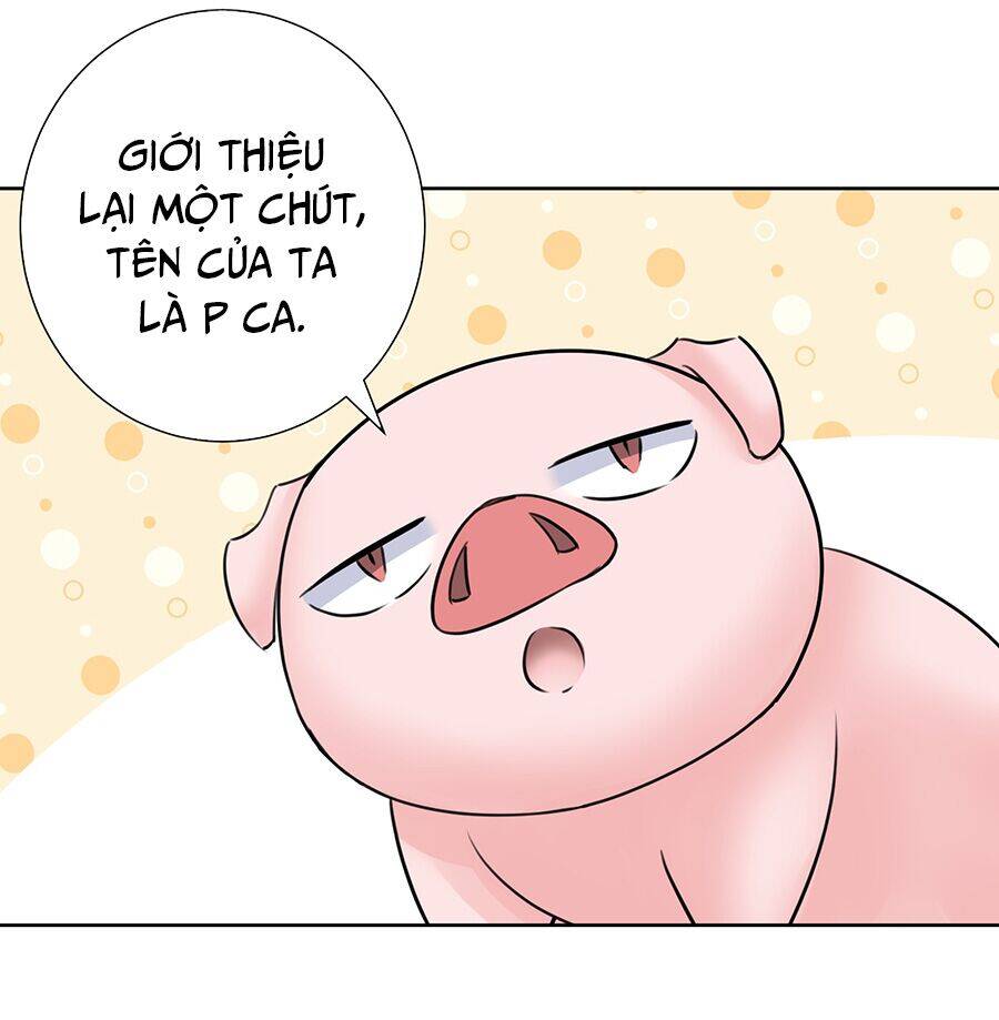 Bản Giáo Chủ Thân Bất Do Kỷ Chapter 35 - 50