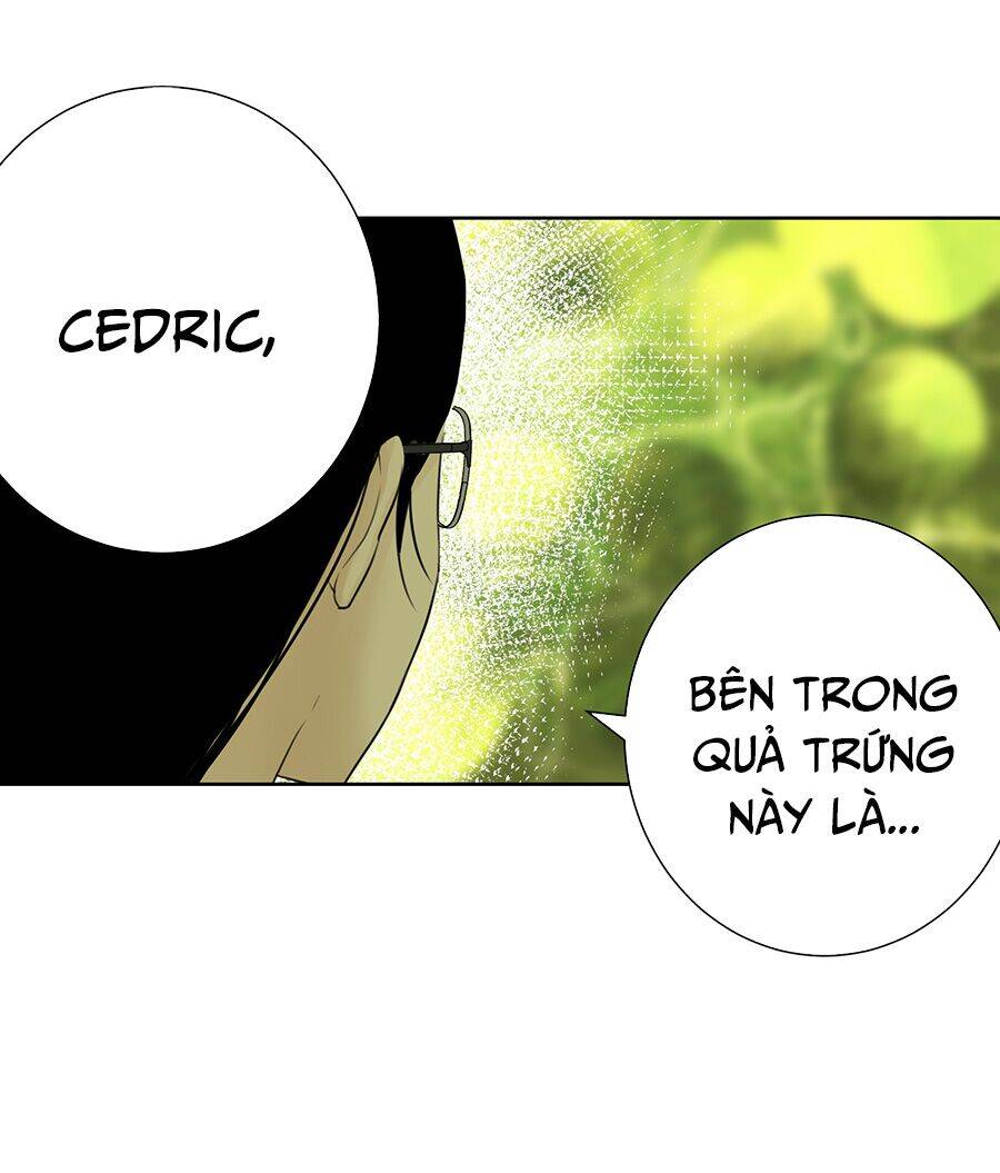 Bản Giáo Chủ Thân Bất Do Kỷ Chapter 37 - 24