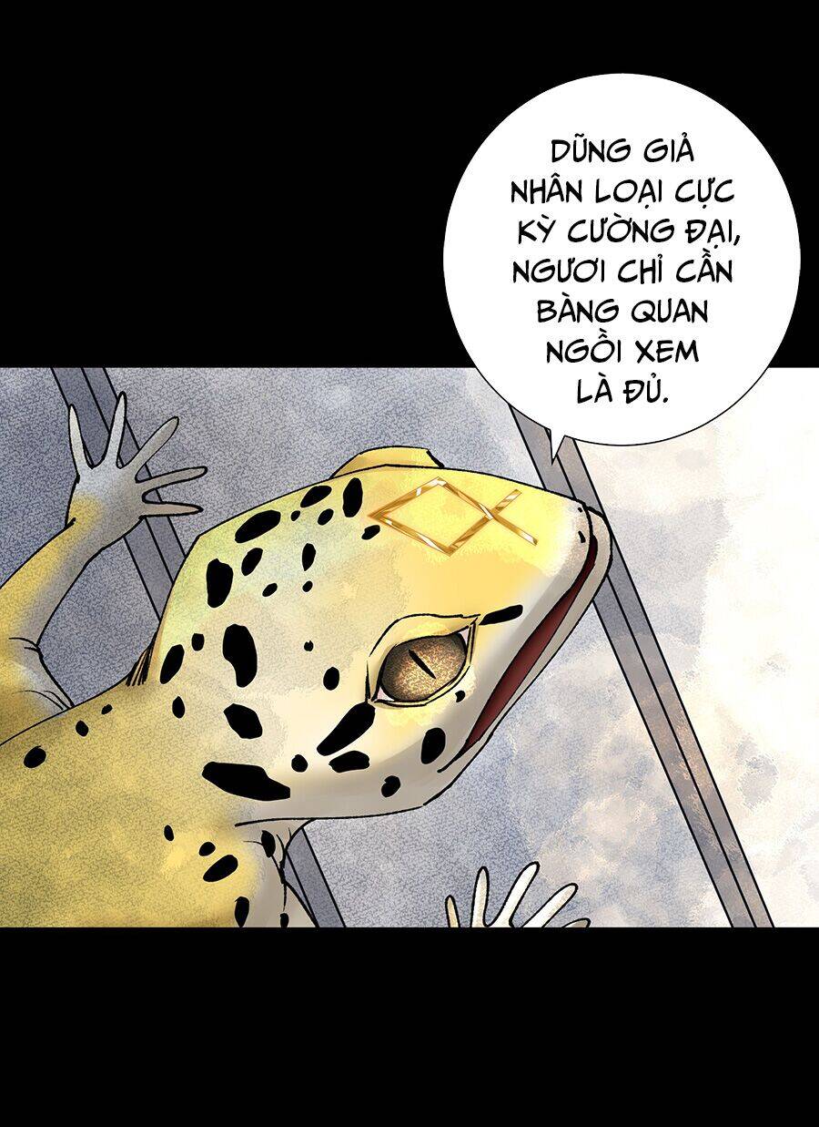 Bản Giáo Chủ Thân Bất Do Kỷ Chapter 38 - 17