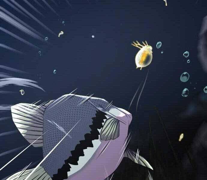 Hoá Thân Thành Cá Chapter 2 - 112