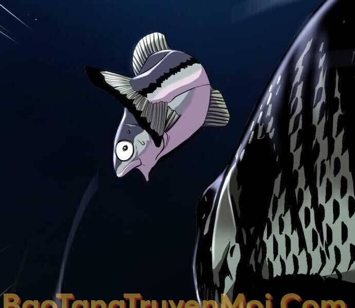 Hoá Thân Thành Cá Chapter 2 - 159