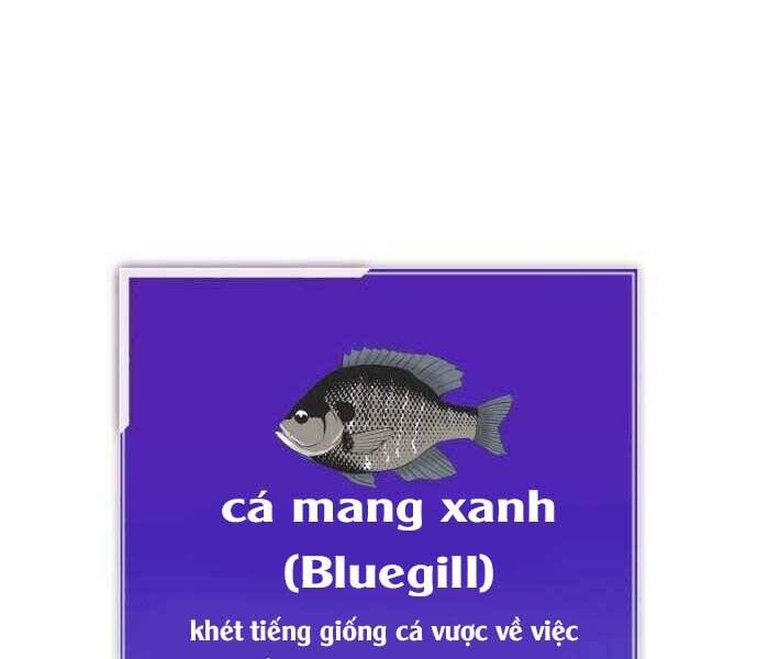 Hoá Thân Thành Cá Chapter 2 - 178