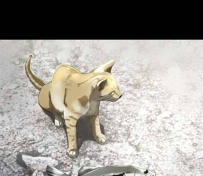 Hoá Thân Thành Cá Chapter 2 - 23