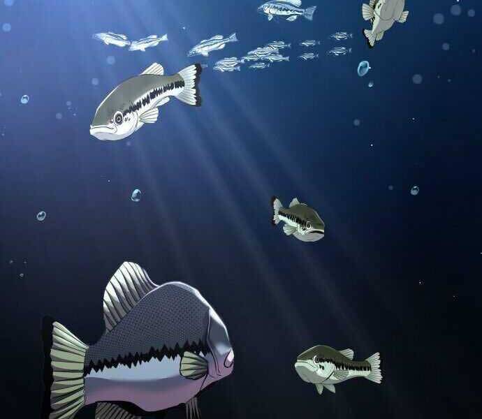 Hoá Thân Thành Cá Chapter 2 - 32