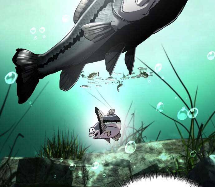 Hoá Thân Thành Cá Chapter 3 - 164