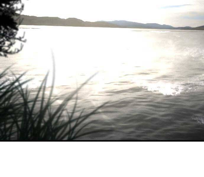 Hoá Thân Thành Cá Chapter 3 - 173