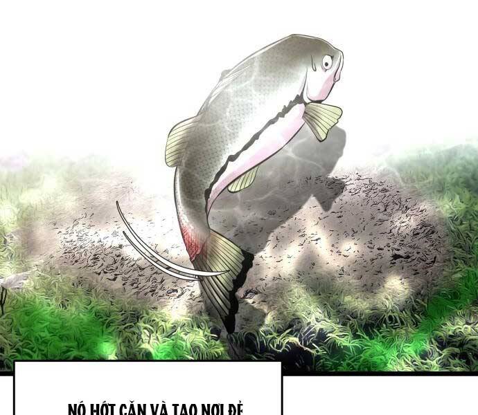 Hoá Thân Thành Cá Chapter 3 - 62