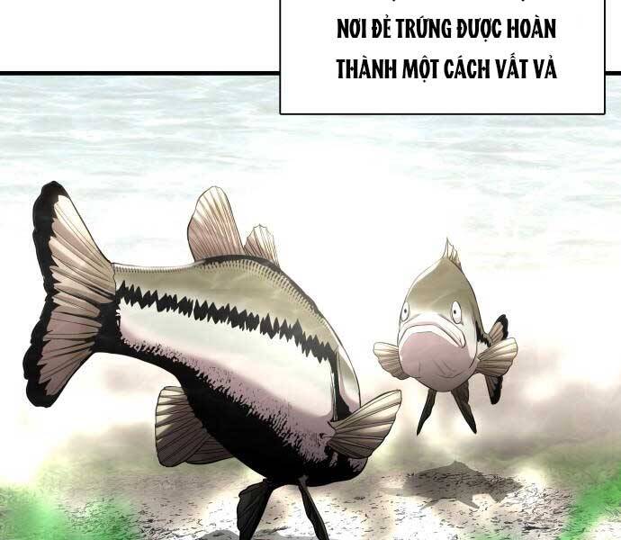 Hoá Thân Thành Cá Chapter 3 - 64