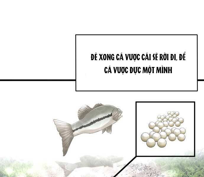 Hoá Thân Thành Cá Chapter 3 - 66