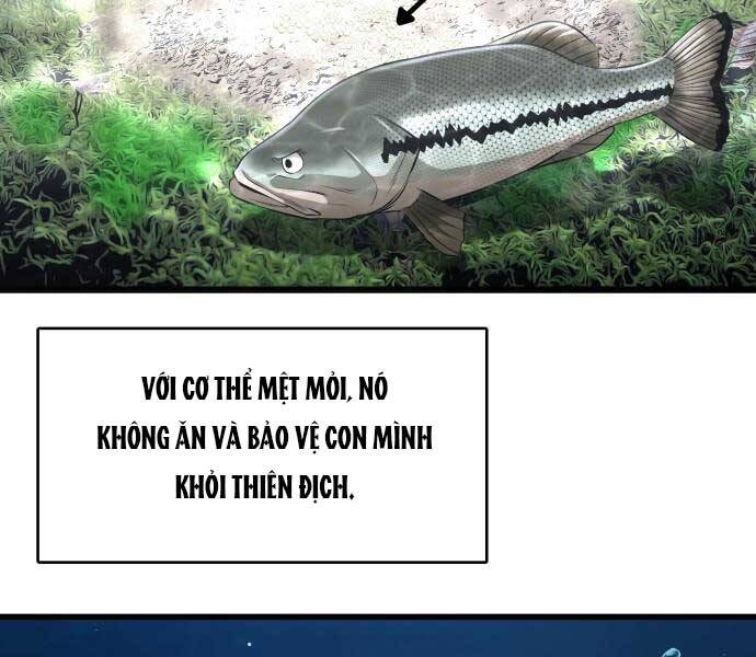 Hoá Thân Thành Cá Chapter 3 - 67