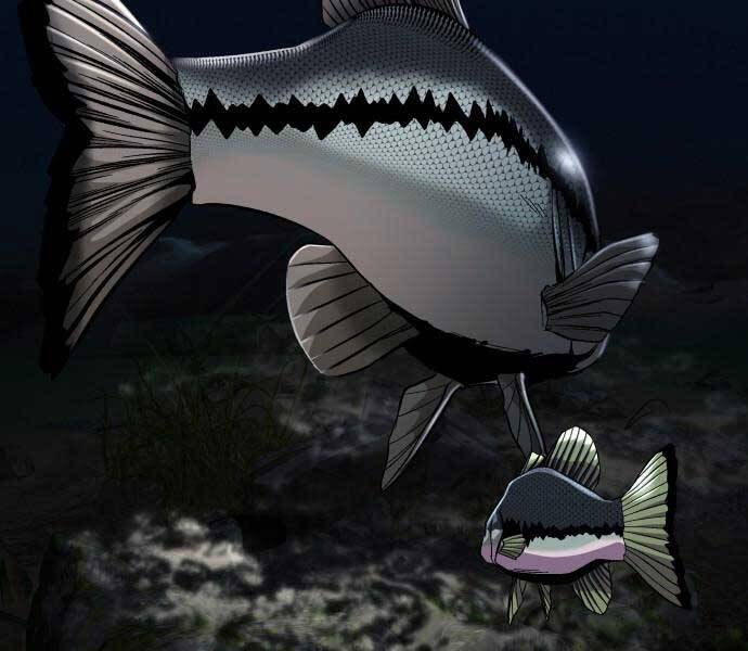 Hoá Thân Thành Cá Chapter 3 - 71