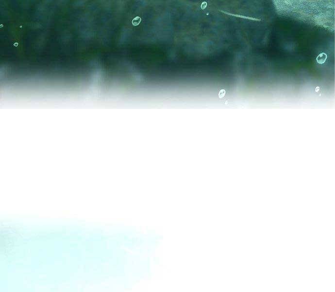 Hoá Thân Thành Cá Chapter 4 - 65