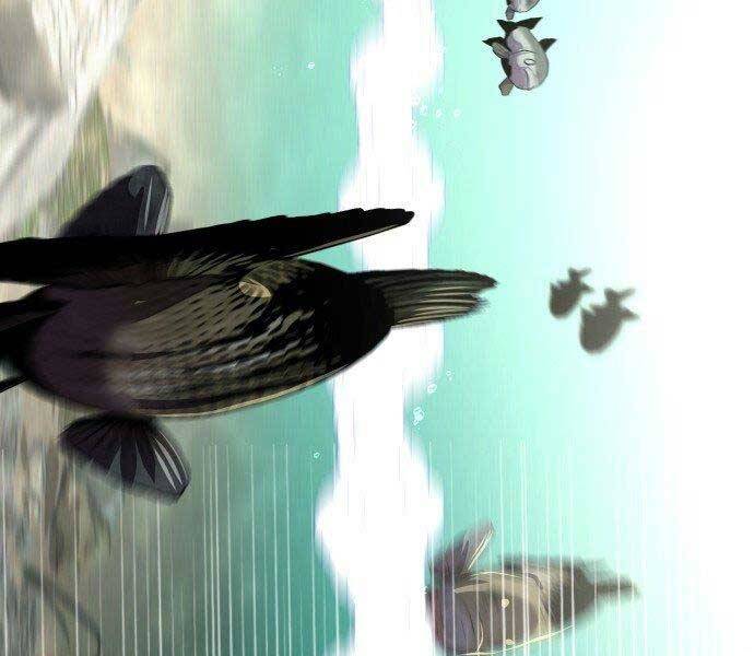 Hoá Thân Thành Cá Chapter 4 - 79