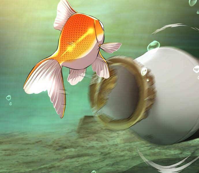 Hoá Thân Thành Cá Chapter 6 - 168