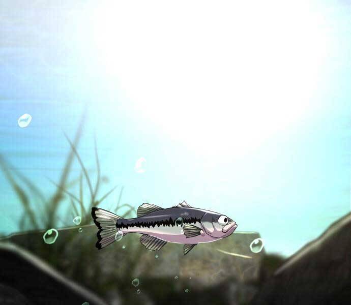 Hoá Thân Thành Cá Chapter 6 - 5