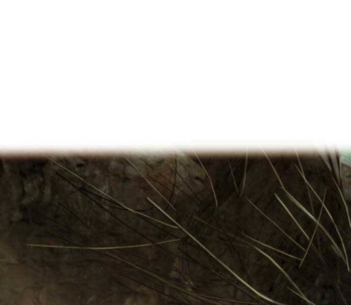 Hoá Thân Thành Cá Chapter 7 - 1