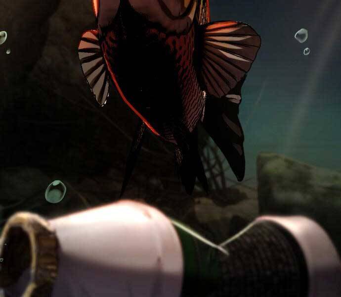 Hoá Thân Thành Cá Chapter 7 - 120