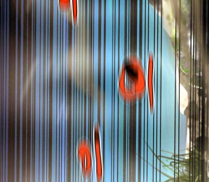 Hoá Thân Thành Cá Chapter 7 - 155