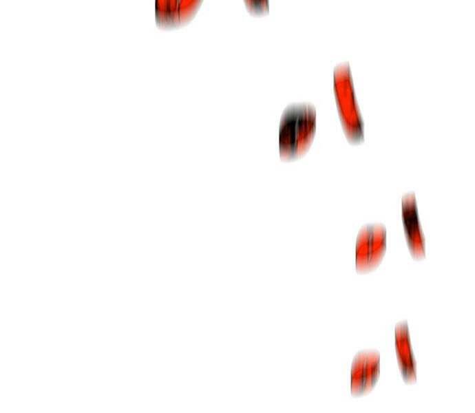 Hoá Thân Thành Cá Chapter 9 - 32