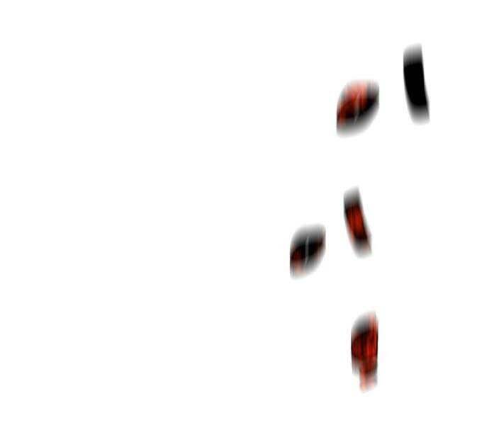 Hoá Thân Thành Cá Chapter 9 - 33