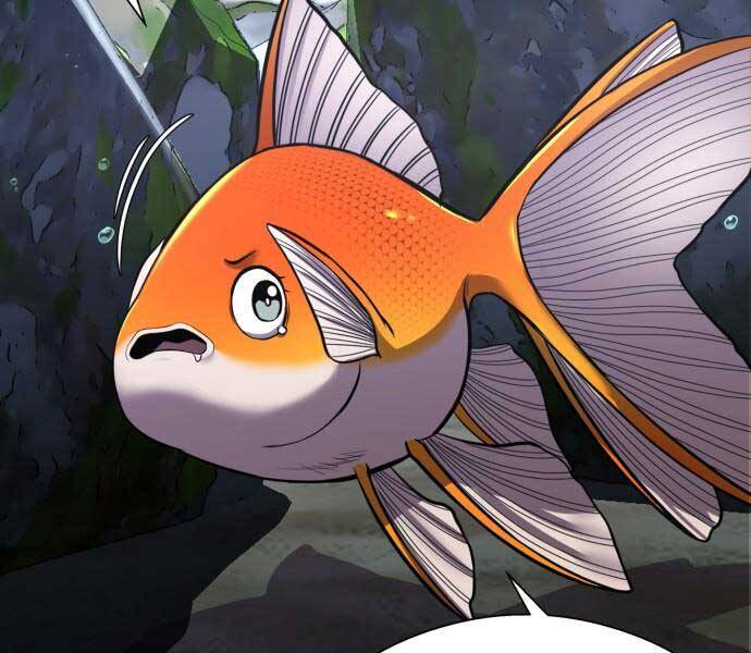 Hoá Thân Thành Cá Chapter 9 - 73