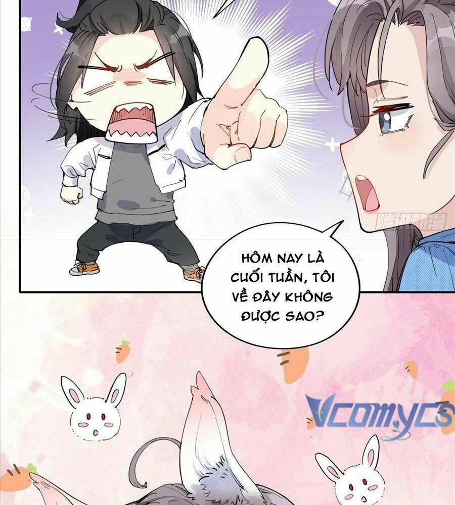 Cố Tổng, Vợ Của Ngài Quá Mạnh Rồi! Chapter 10 - 23