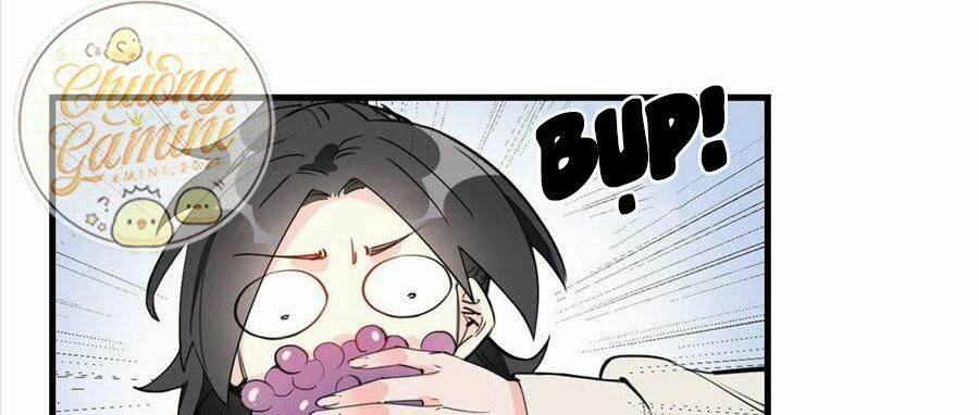 Cố Tổng, Vợ Của Ngài Quá Mạnh Rồi! Chapter 21 - 41