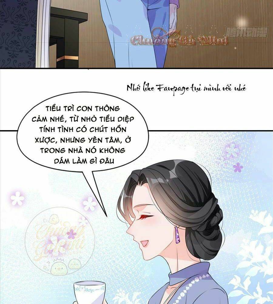 Cố Tổng, Vợ Của Ngài Quá Mạnh Rồi! Chapter 4 - 13