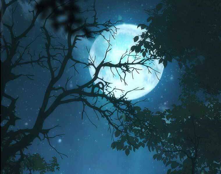 Hậu Duệ Của Hổ Chapter 11 - 50