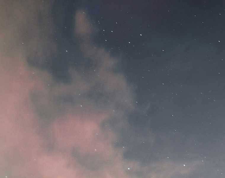 Hậu Duệ Của Hổ Chapter 6 - 54