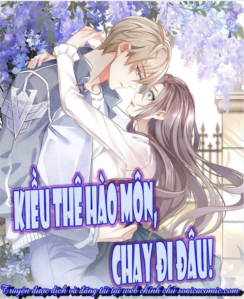 Kiều Thê Hào Môn Chạy Đi Đâu Chapter 8 - 1