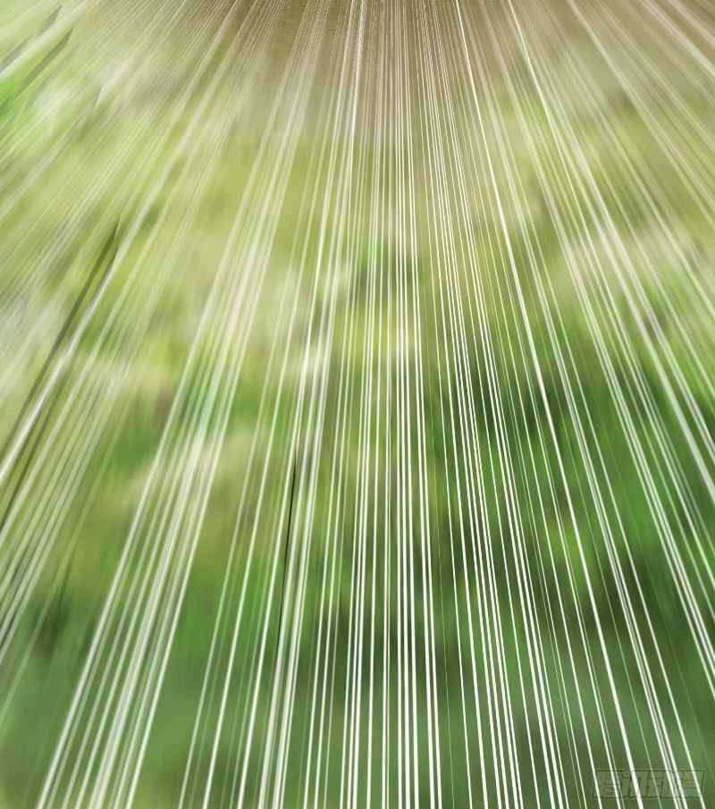 Con Của Ta Là Đại Lão Chapter 16 - 10