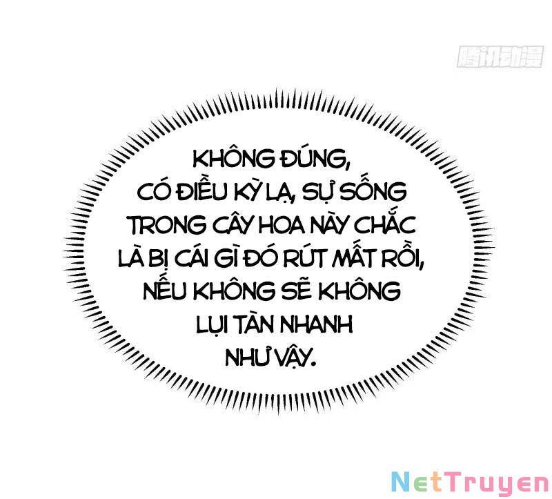 Con Của Ta Là Đại Lão Chapter 48 - 14