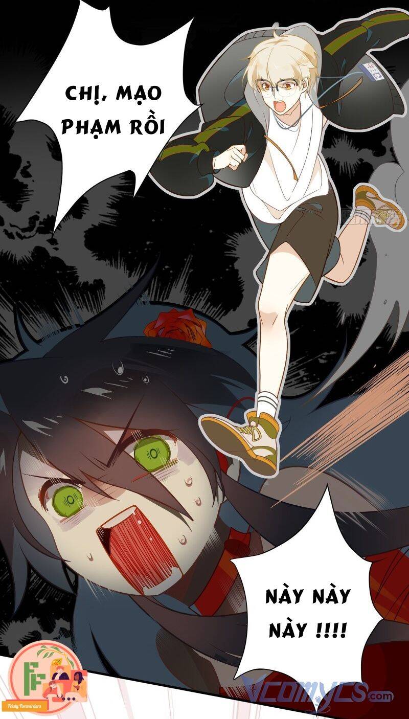 Nữ Phụ Như Tôi Cũng Có Ngày Ra Mắt Chapter 2 - 11