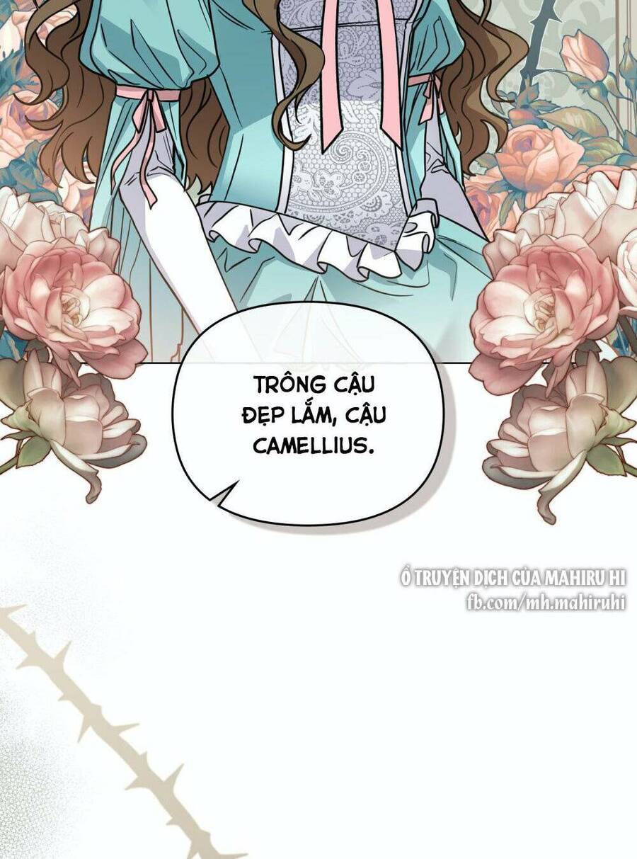 Tìm Lại Camellia Chapter 41 - 39