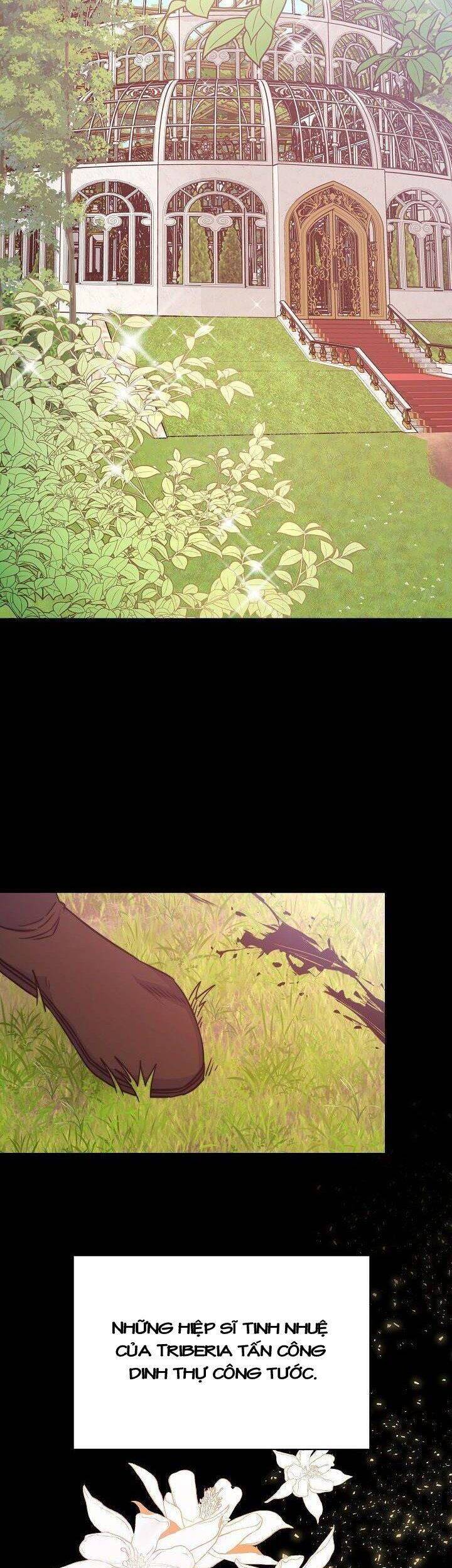 Nàng Evangeline Chapter 23 - 7