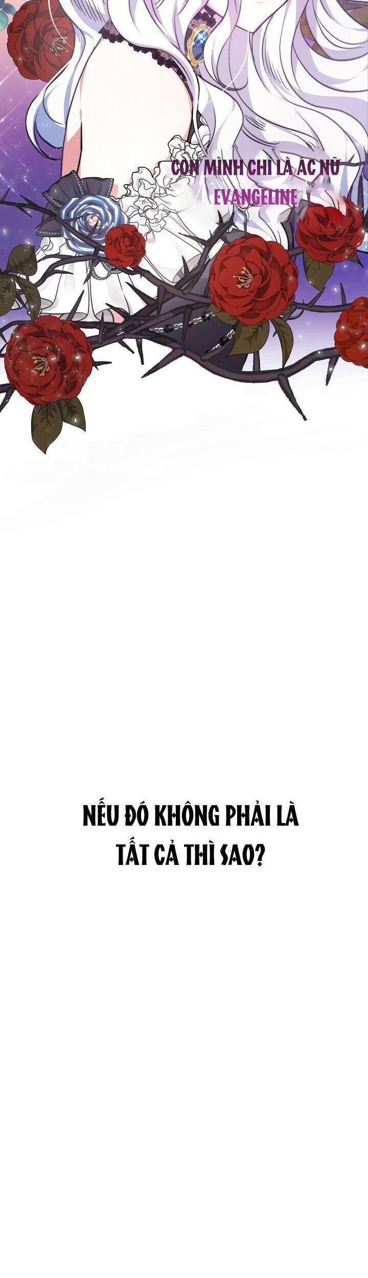 Nàng Evangeline Chapter 2 - 44