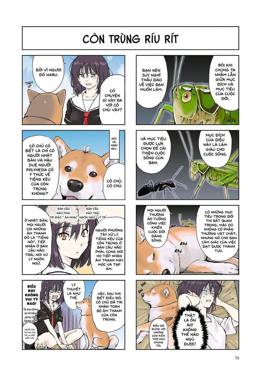 Lang Thang Miền Tận Thế Với Chú Chó Shiba Của Tôi Chapter 10 - 2