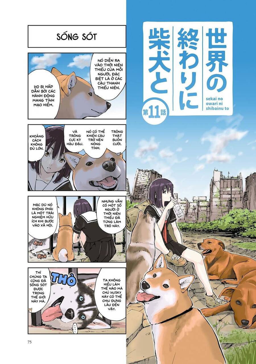 Lang Thang Miền Tận Thế Với Chú Chó Shiba Của Tôi Chapter 11 - 1
