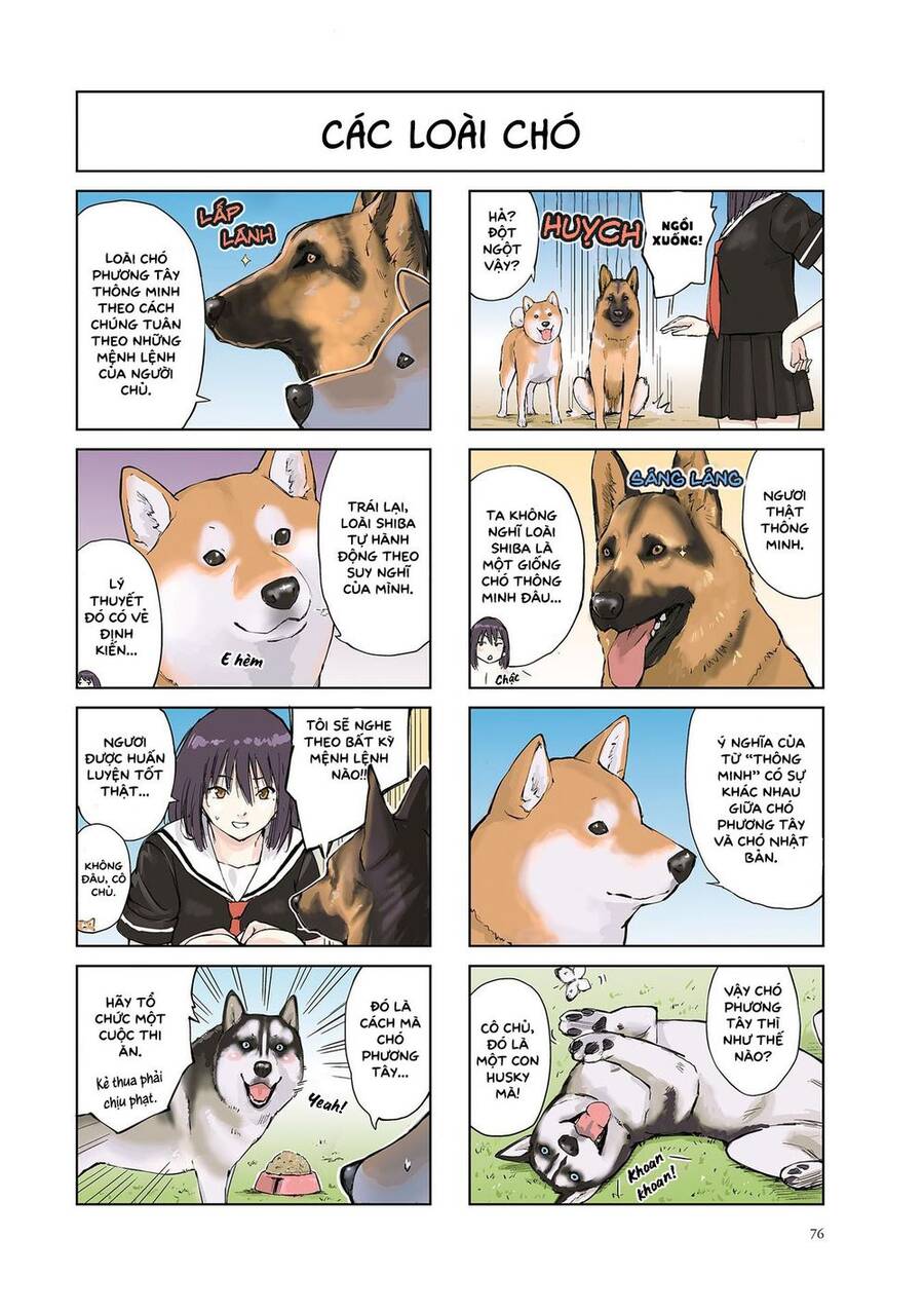 Lang Thang Miền Tận Thế Với Chú Chó Shiba Của Tôi Chapter 11 - 2
