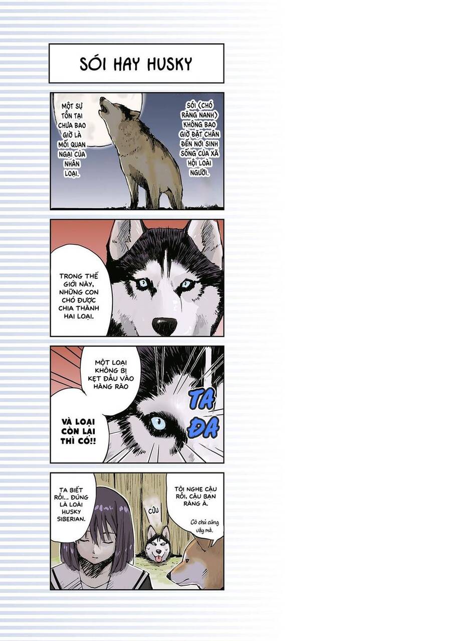 Lang Thang Miền Tận Thế Với Chú Chó Shiba Của Tôi Chapter 11 - 7