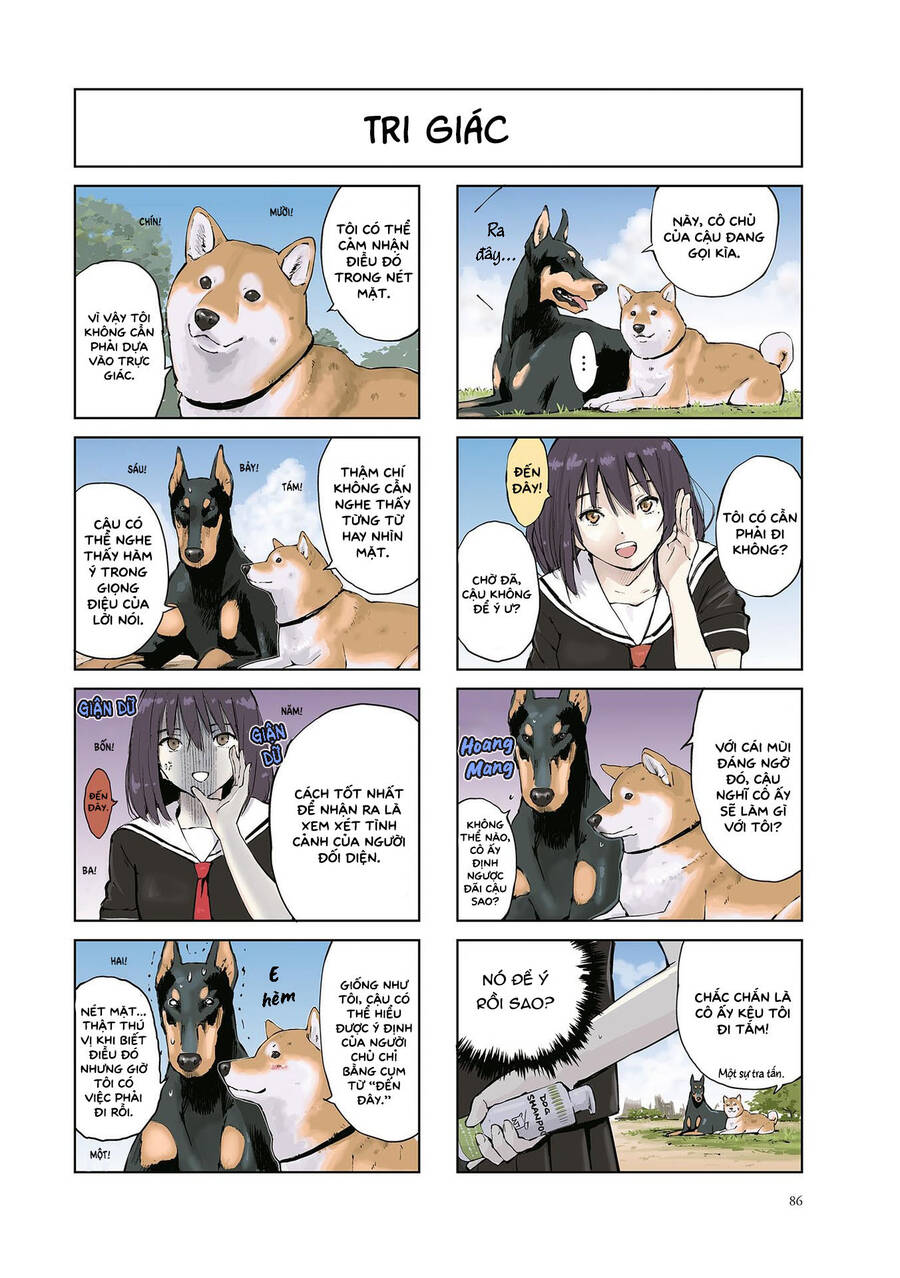 Lang Thang Miền Tận Thế Với Chú Chó Shiba Của Tôi Chapter 12 - 4