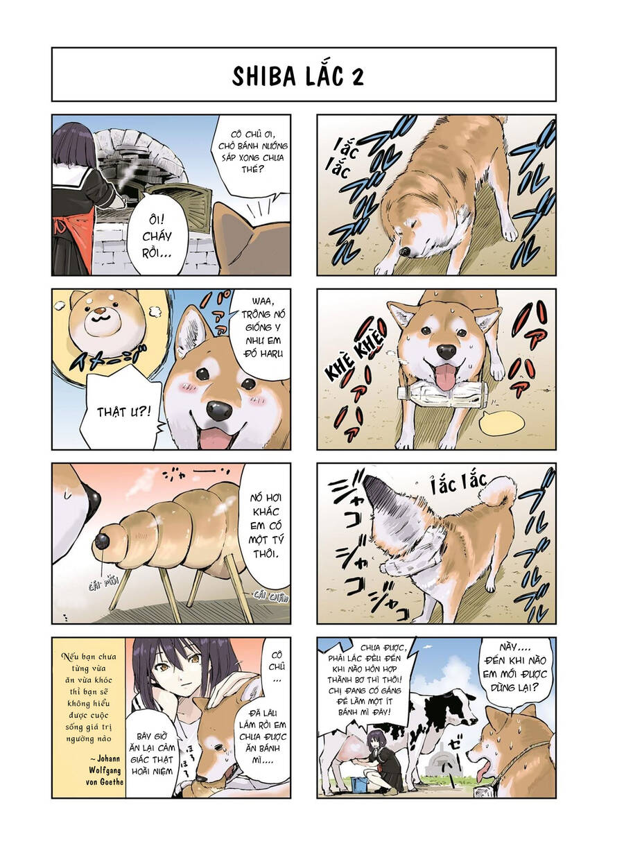 Lang Thang Miền Tận Thế Với Chú Chó Shiba Của Tôi Chapter 13 - 3