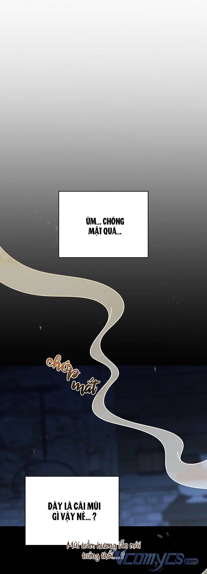 Tôi Sẽ Chịu Trách Nhiệm Về Phúc Lợi Của Nam Chính Chapter 29 - 1