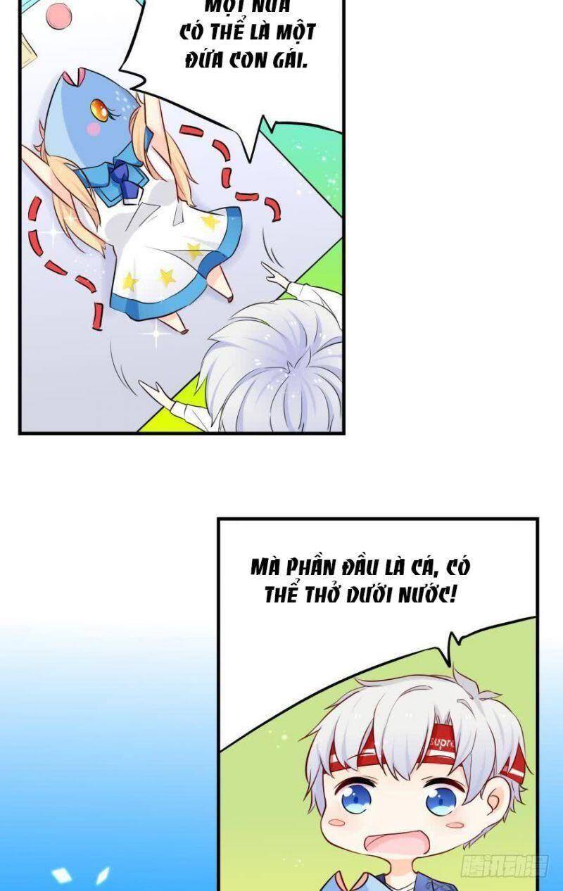 Nhân Ngư Học Trưởng, Đừng Ôm Ta! Chapter 2 - 27